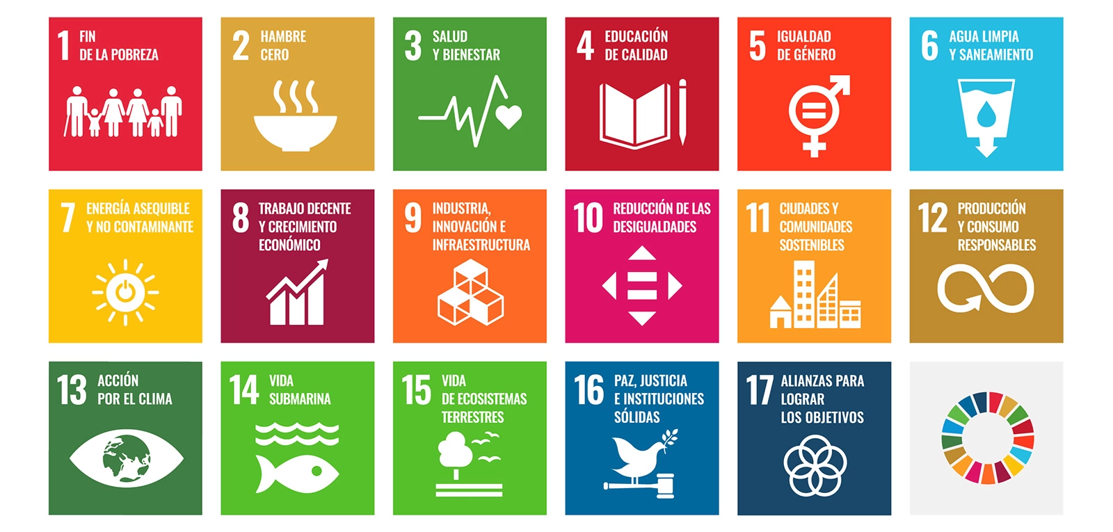 SDGS_WEB-2_29122020